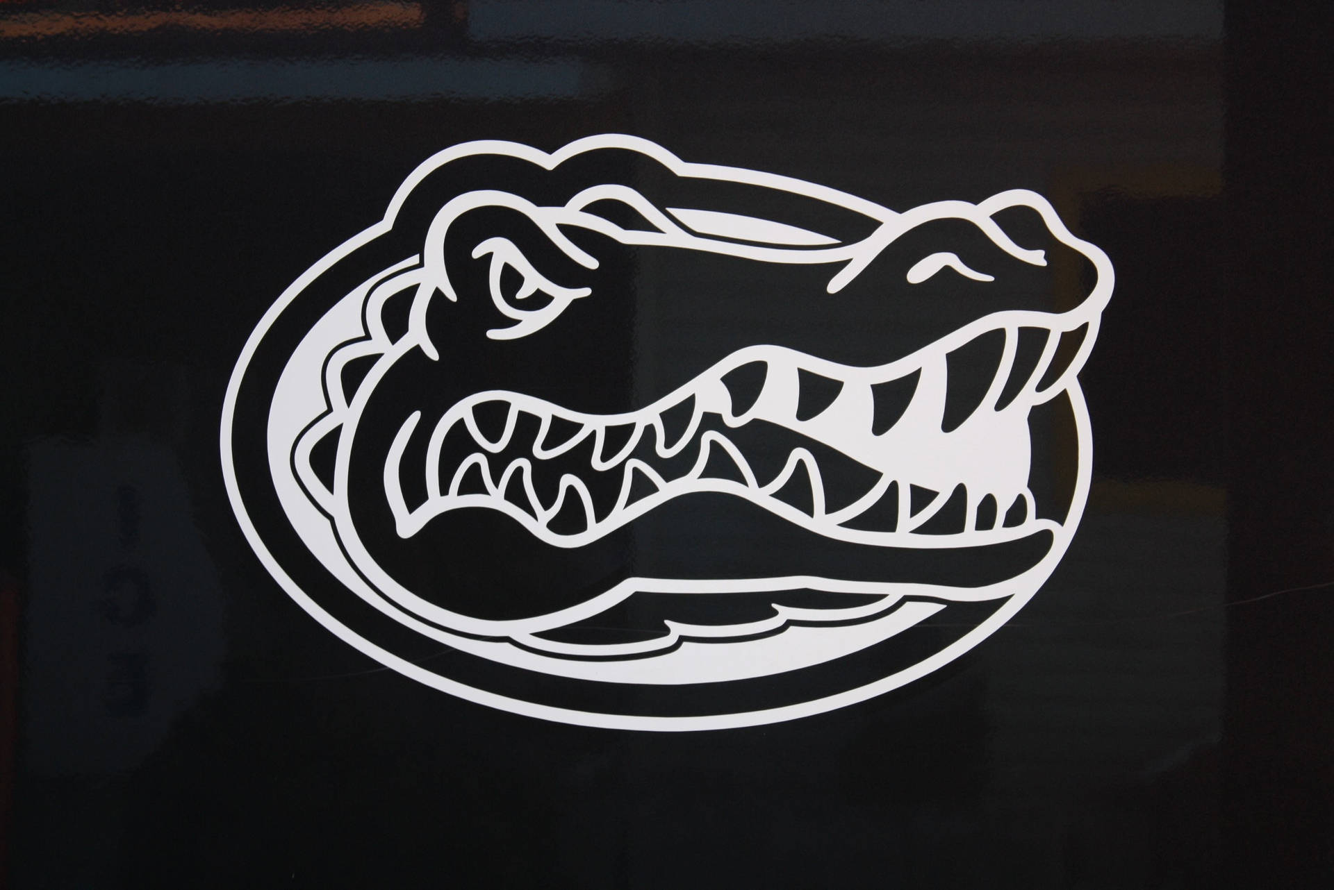 Papelde Parede Para Computador Ou Celular Com O Logo Escuro Dos Florida Gators. Papel de Parede