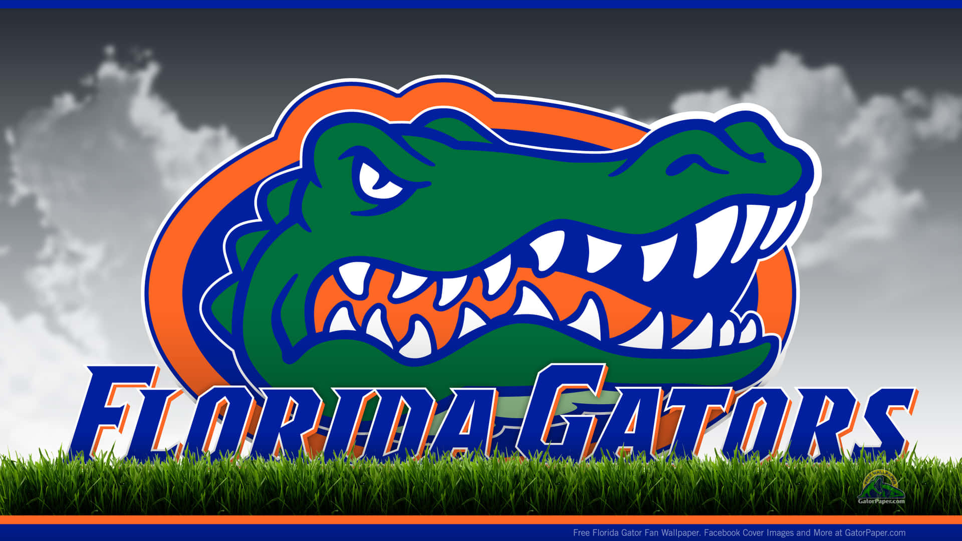 Illogo Dei Florida Gators È Mostrato Sull'erba Sfondo