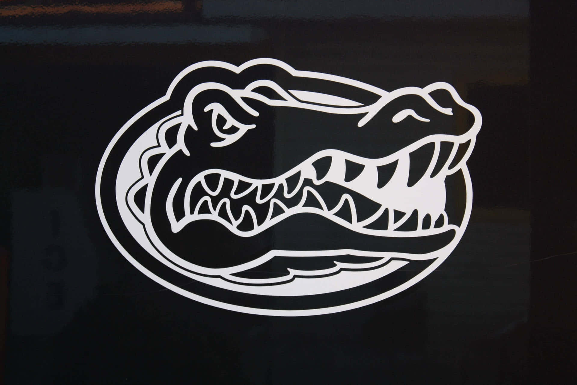 Florida Gators Decal Wallpaper