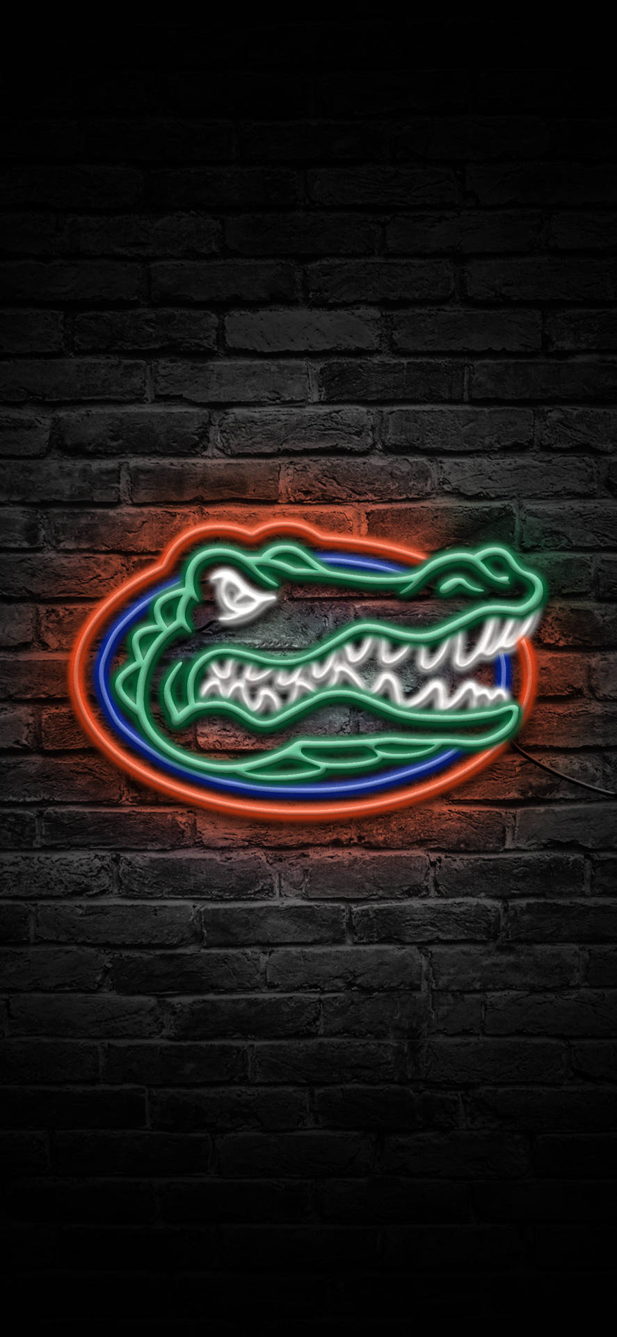 Floridagators-logotyp I Neonljus. Wallpaper