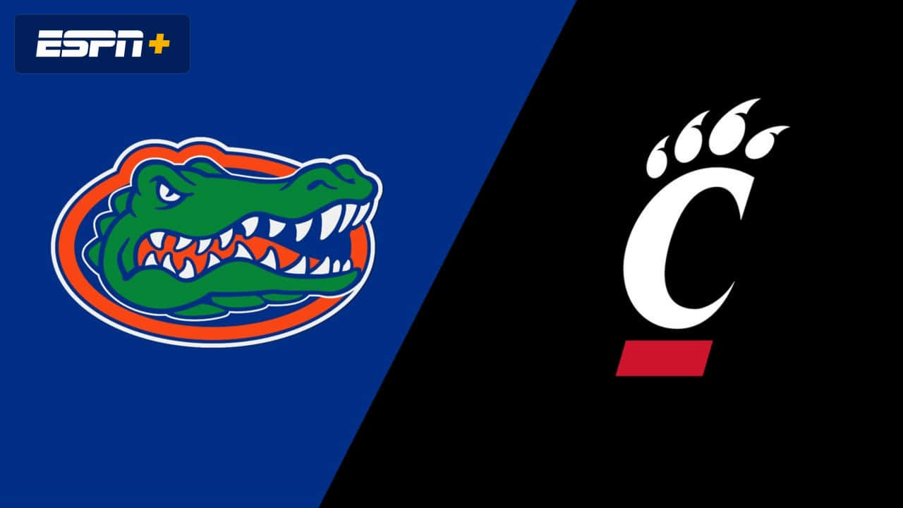 Florida Gators vs Cleveland Bears m basketball Wallpaper