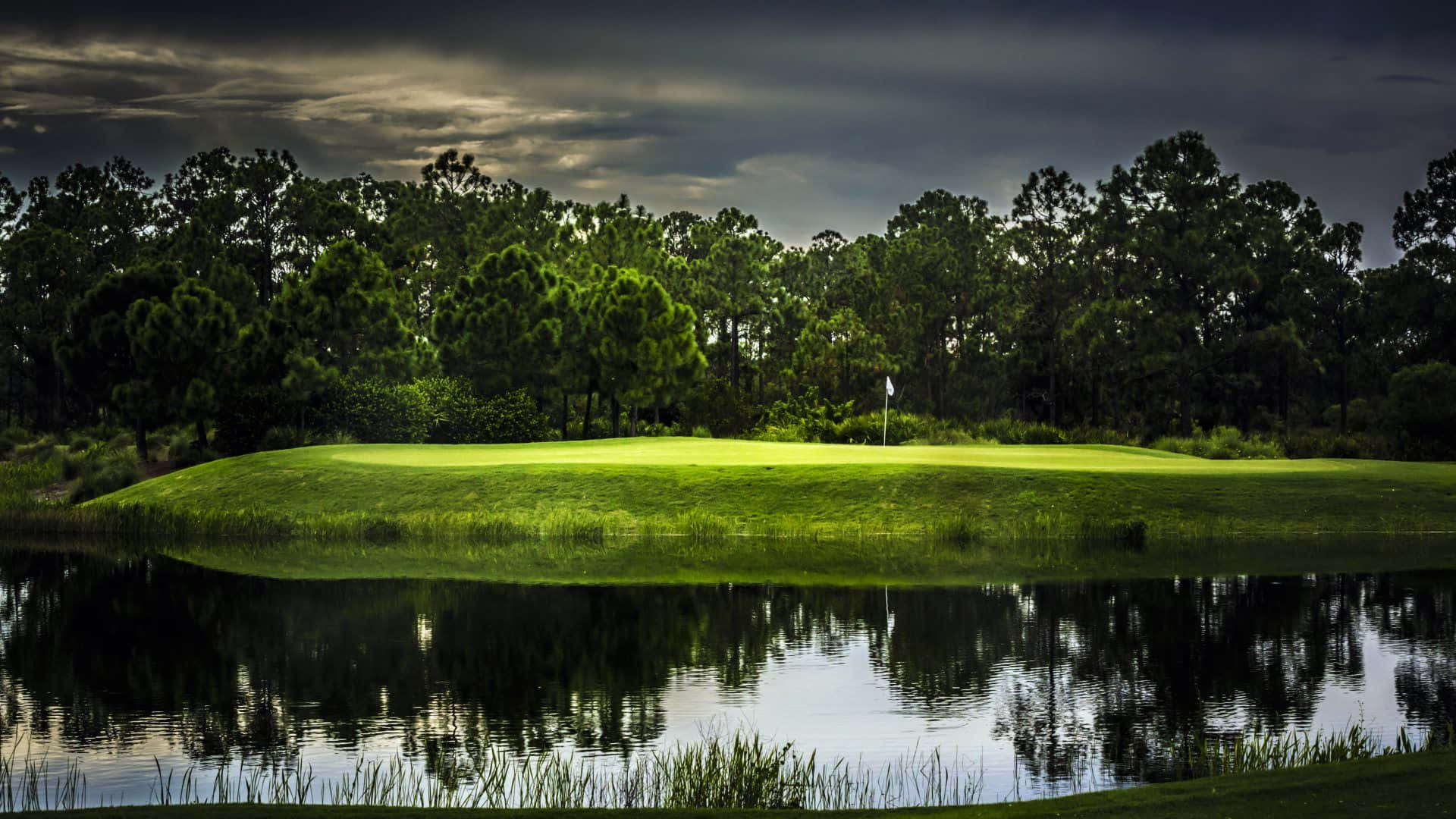 The perfect golfing weather in sunny Florida Wallpaper