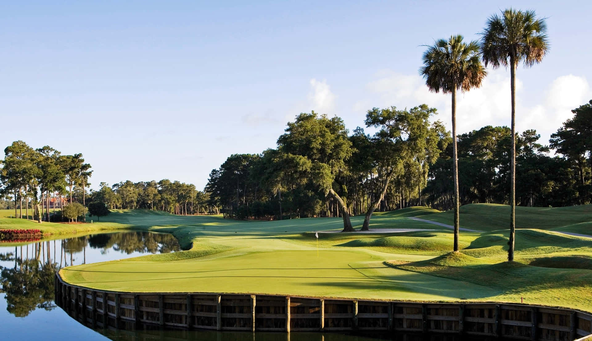 Campode Golf De Tpc Sawgrass En Florida Golf Fondo de pantalla