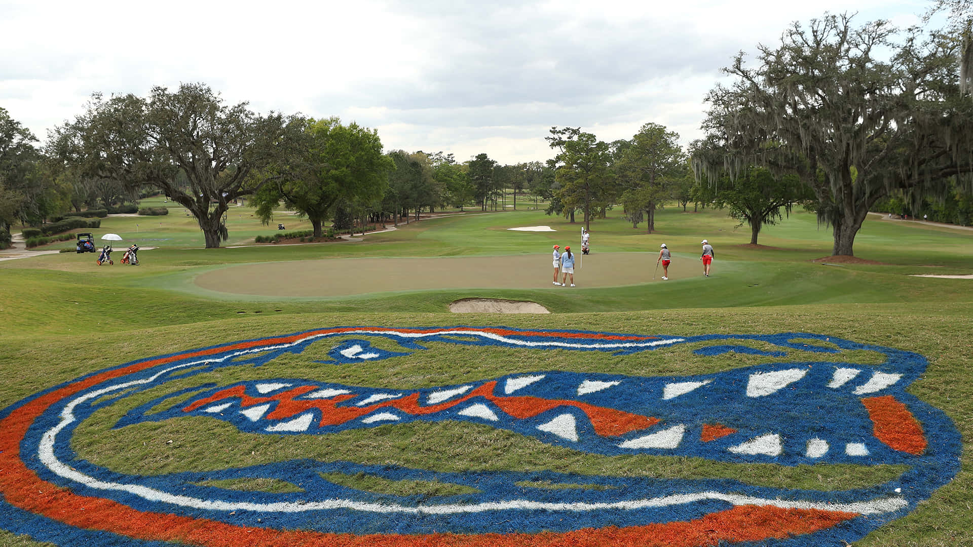 Tyrannosaurus Rex Florida Golf Course er et maskulint design. Wallpaper