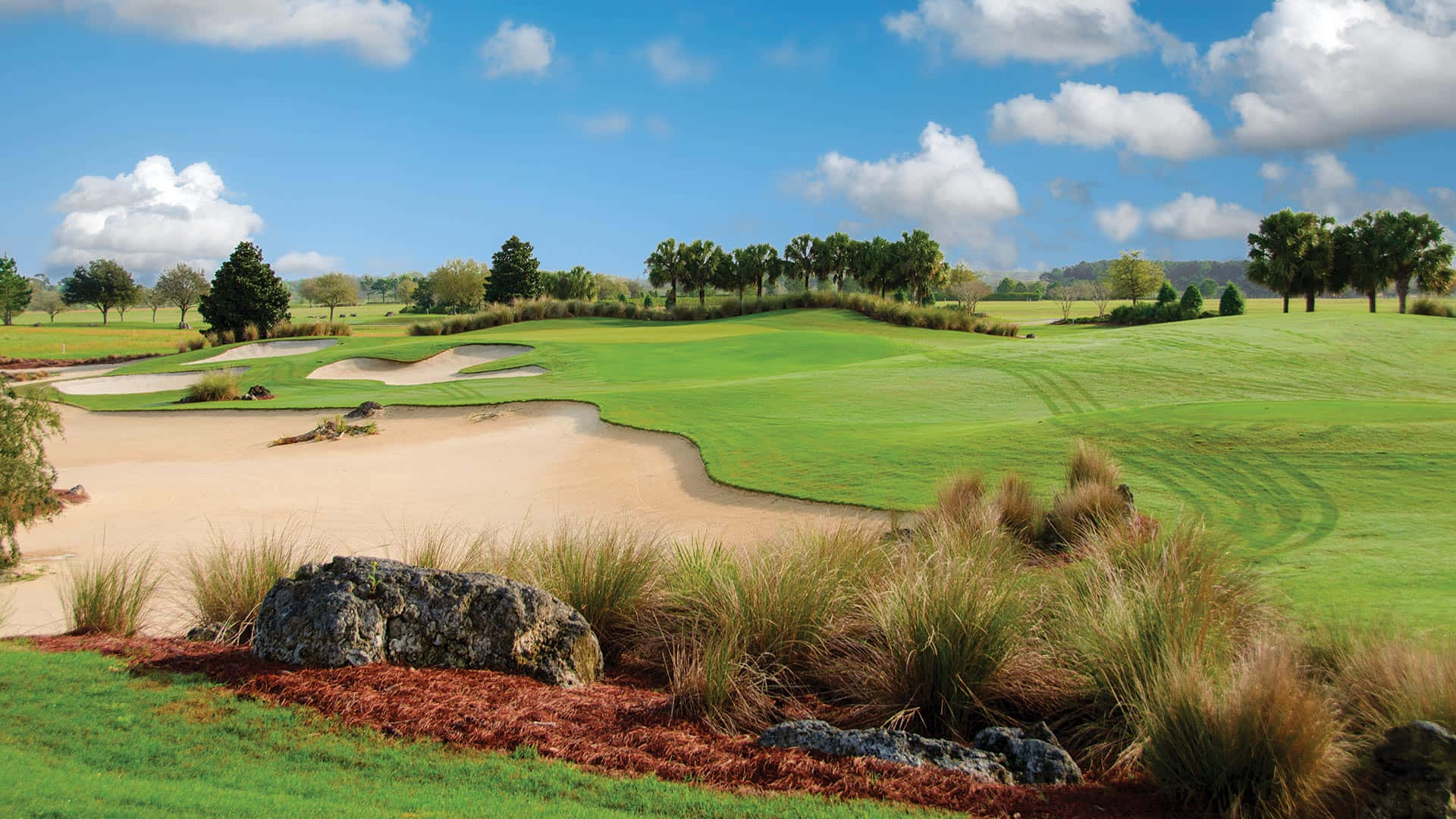 Candler Hills Golfplatz In Florida Wallpaper