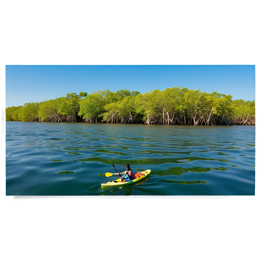 Florida Mangroves Kayaking Png 2 PNG