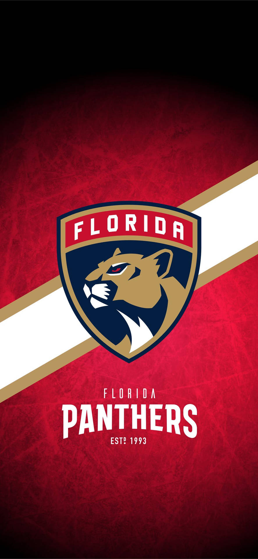 Florida Panthers Hockey Team in Action Wallpaper