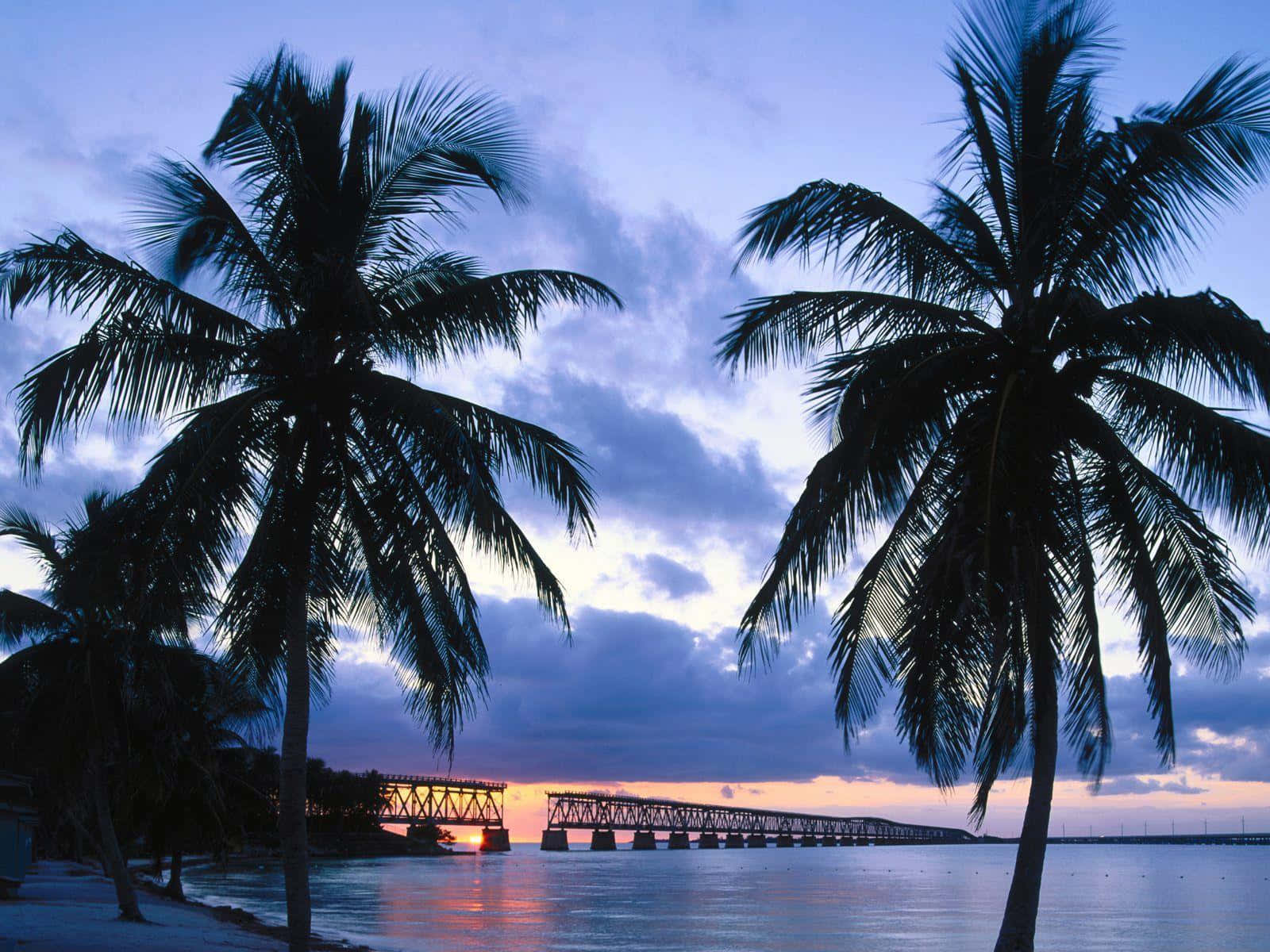 Immerse yourself in the beauty of the Florida Sunsets