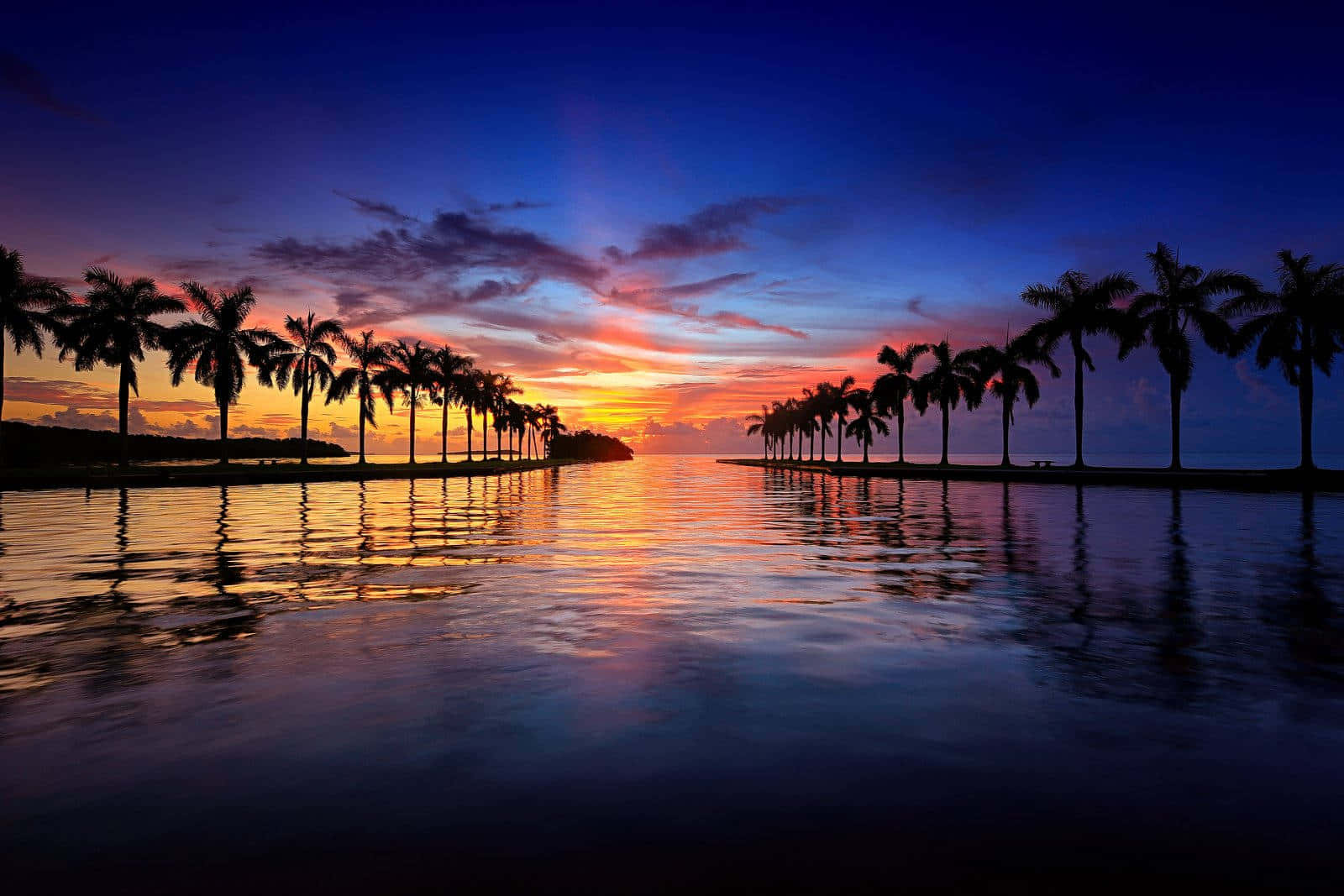 A Sunset With Palm Trees In The Water
