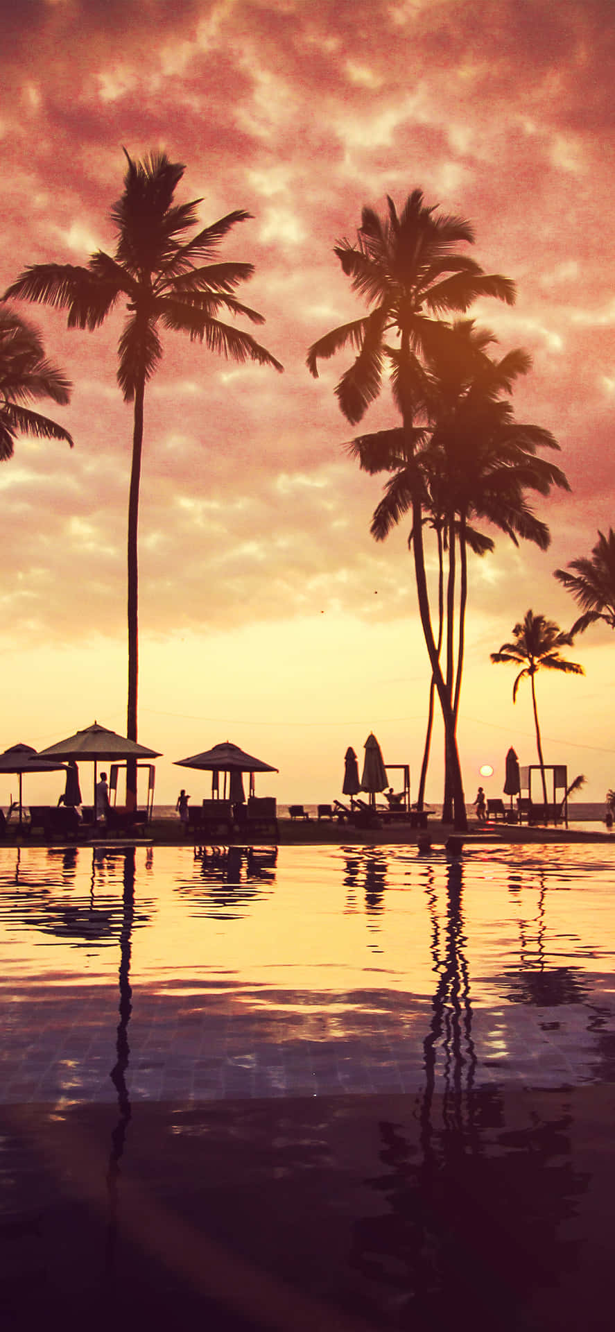 En pool med palmer og en solnedgangs himmel