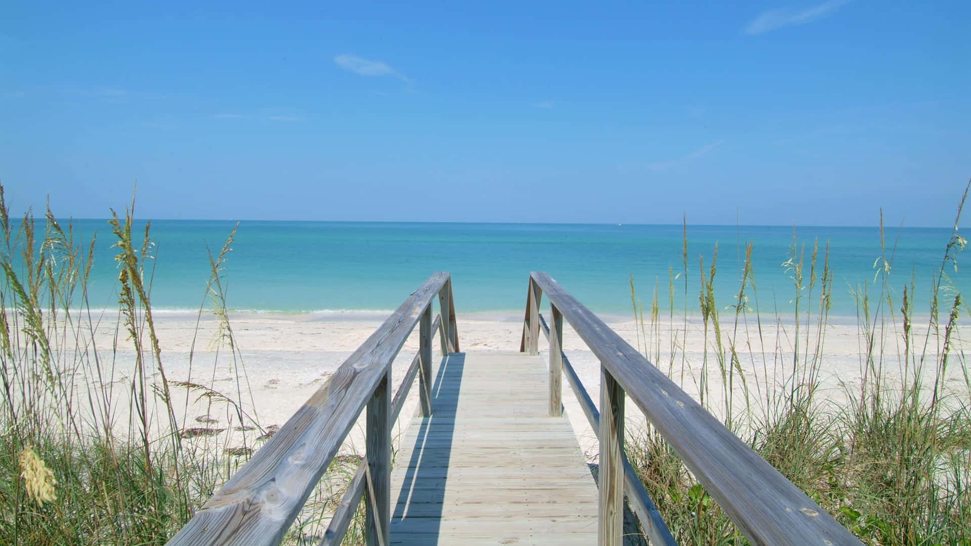 Explore the Sunny State of Florida