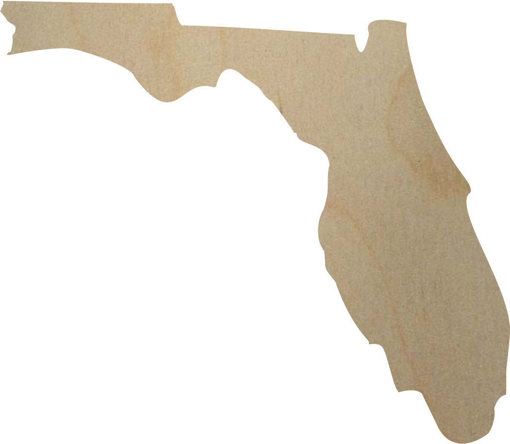 Florida State Outline PNG