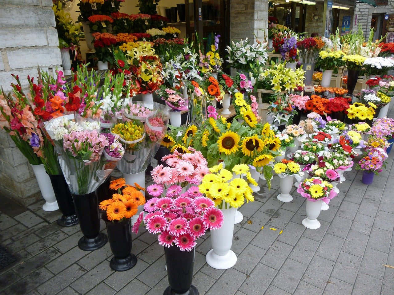 Beautiful florist shop filled with vibrant colors of flowers. Wallpaper