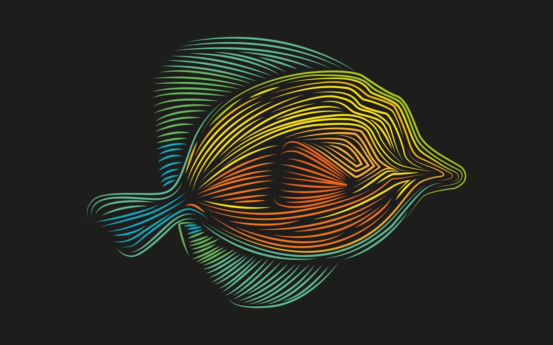 Flounder Digital Line Art Wallpaper