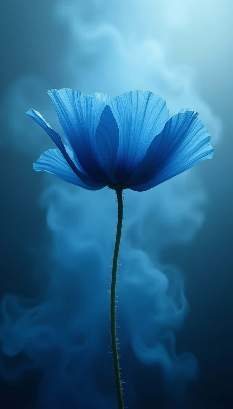 Flower Wallpaper