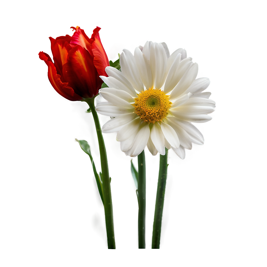 Flower A PNG