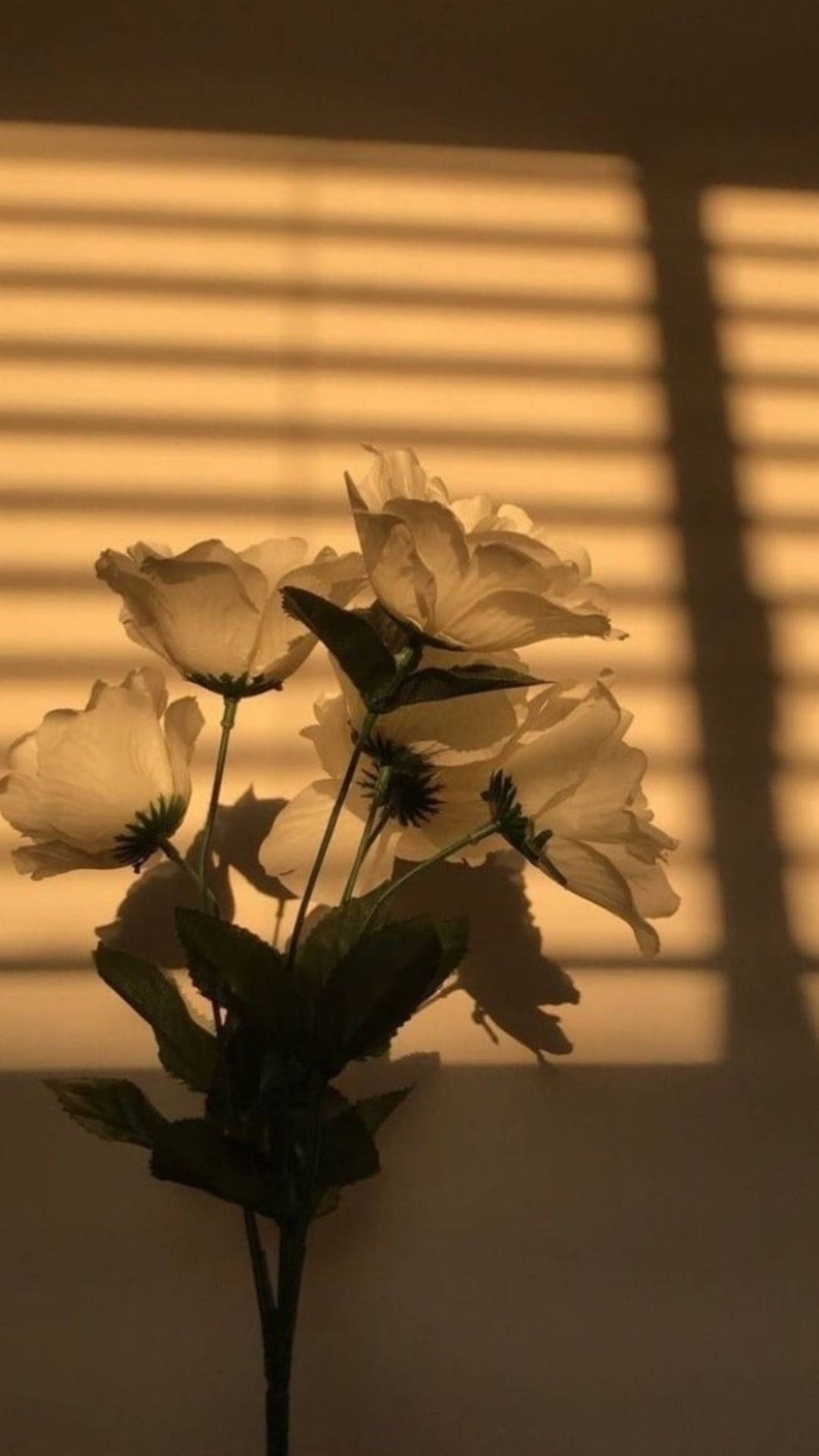 Flower Aesthetic In Sunlight Wallpaper