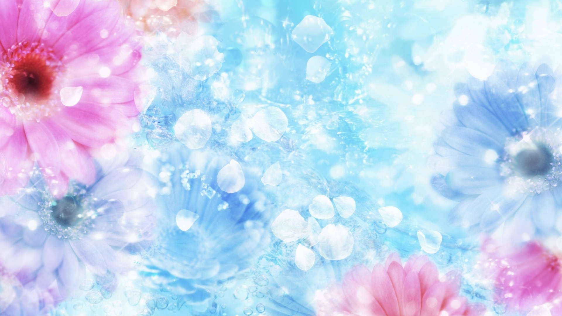 Fondobrillante De Flores Y Agua. Fondo de pantalla