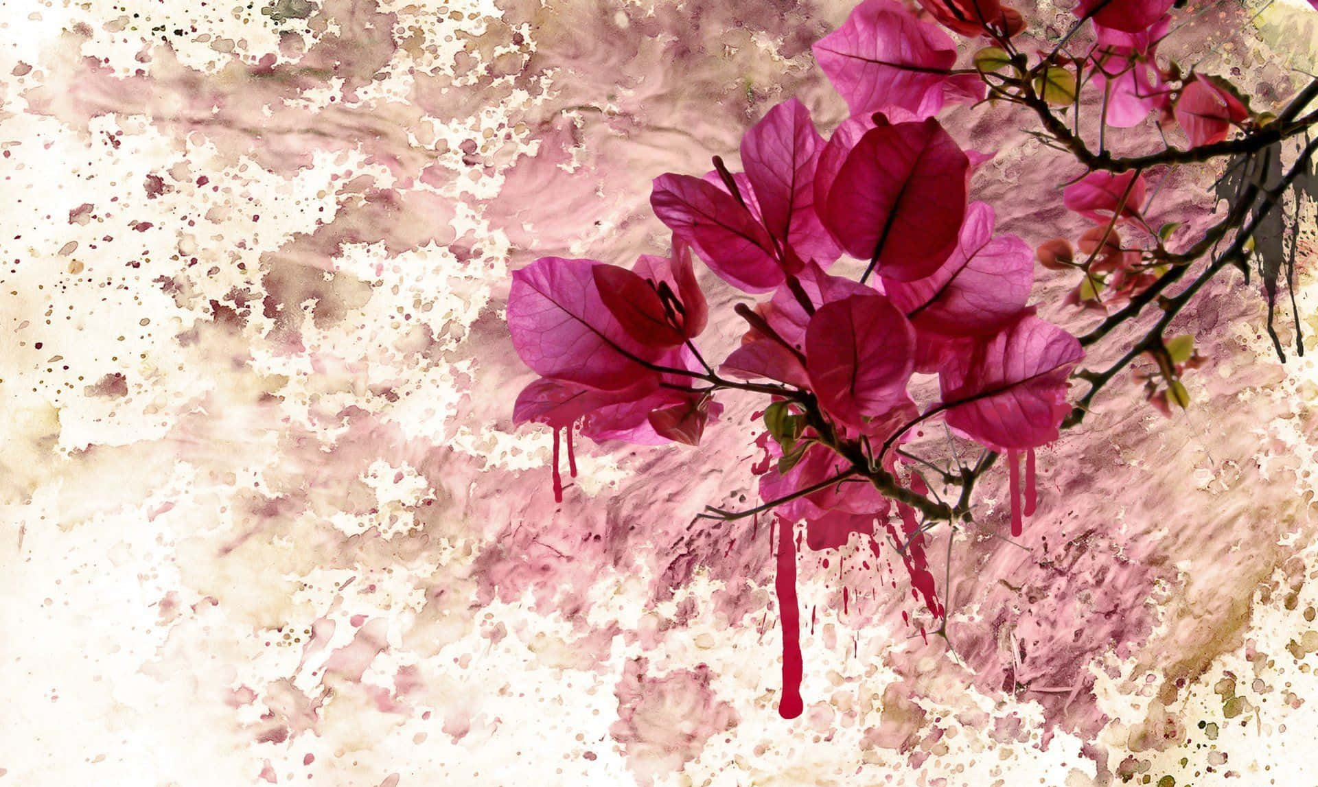 Stunning Exotic Flower Art with Splashes of Color Wallpaper