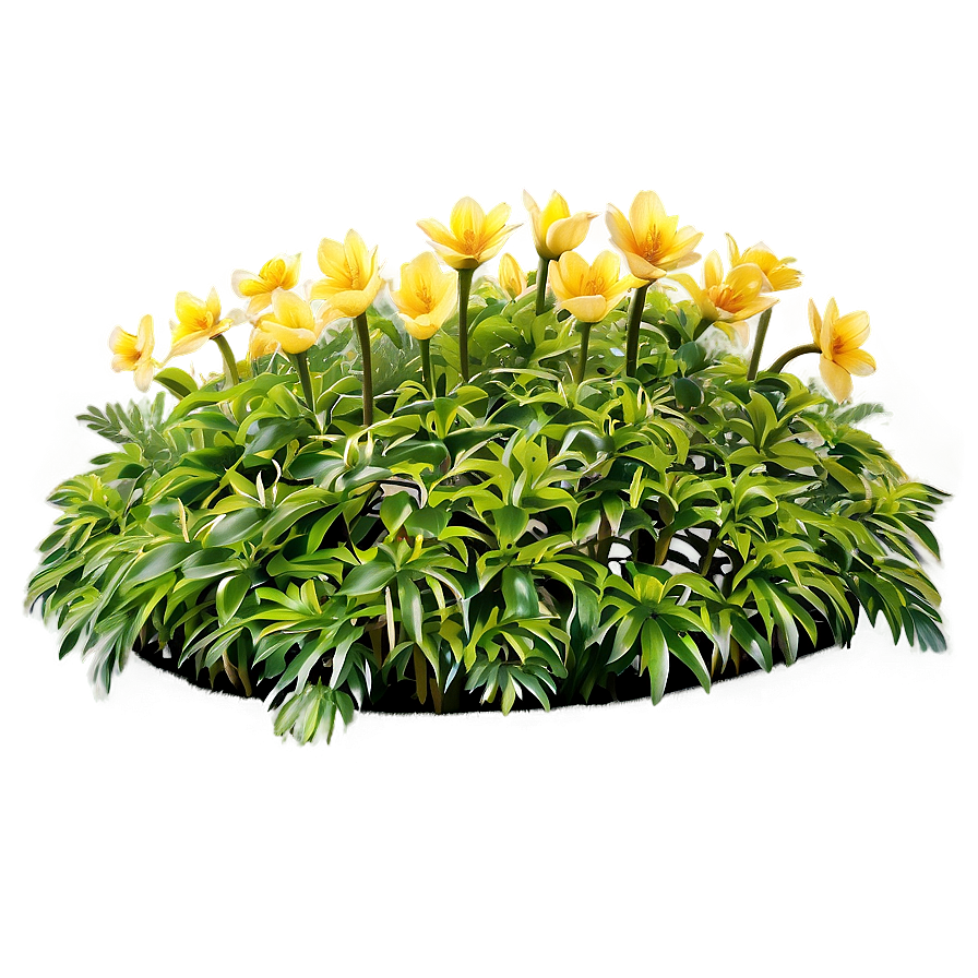 Flower Bed C PNG