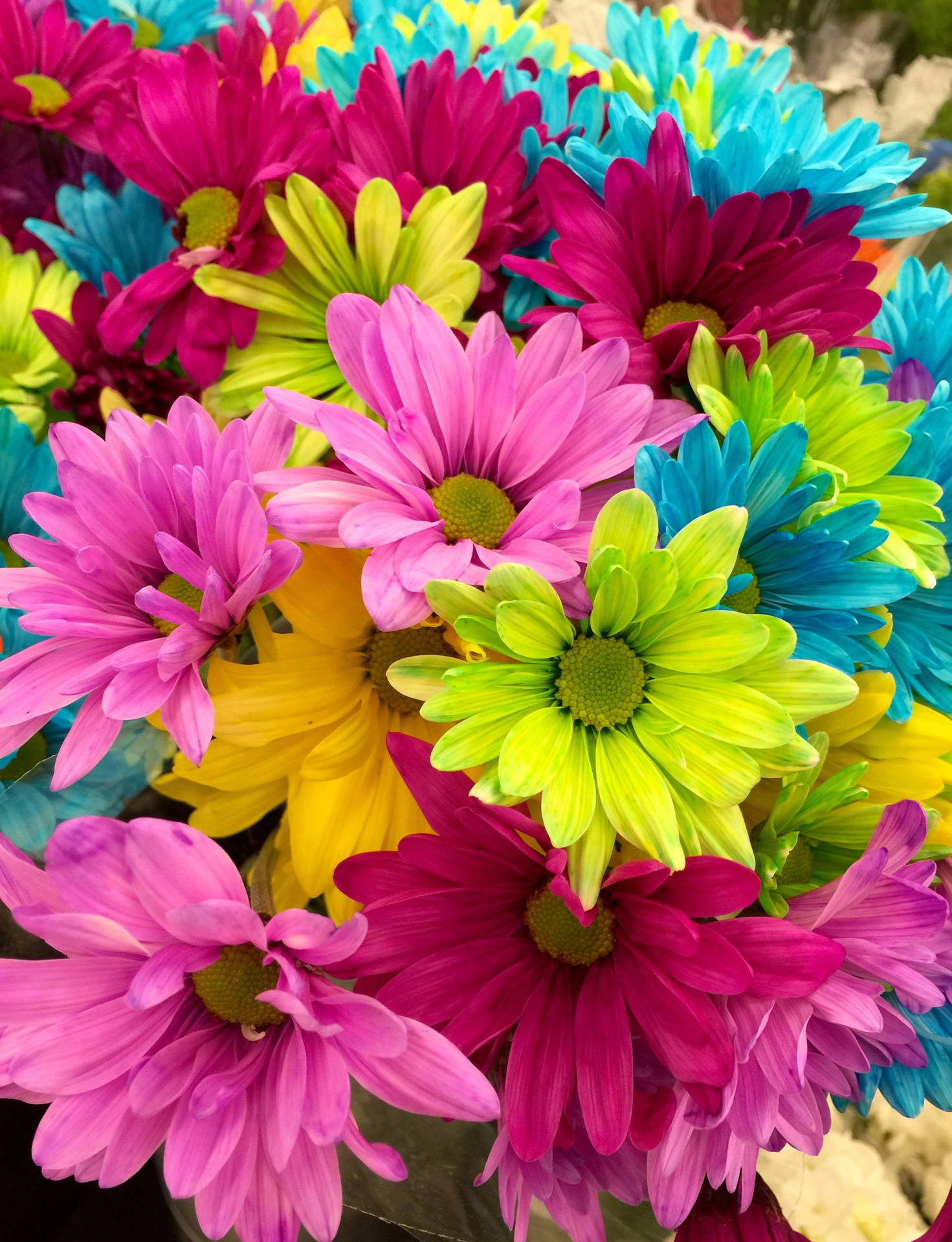 Flower Bouquet For Colorful Background Wallpaper