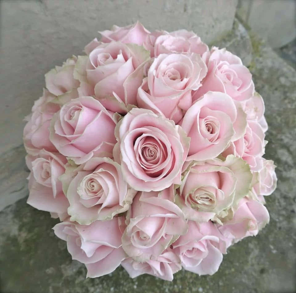 A Bouquet Of Pink Roses Is Sitting On A Stone Wall