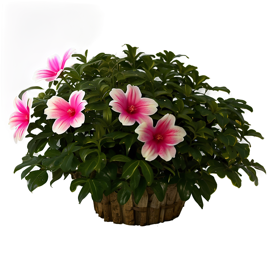 Flower Bush A PNG