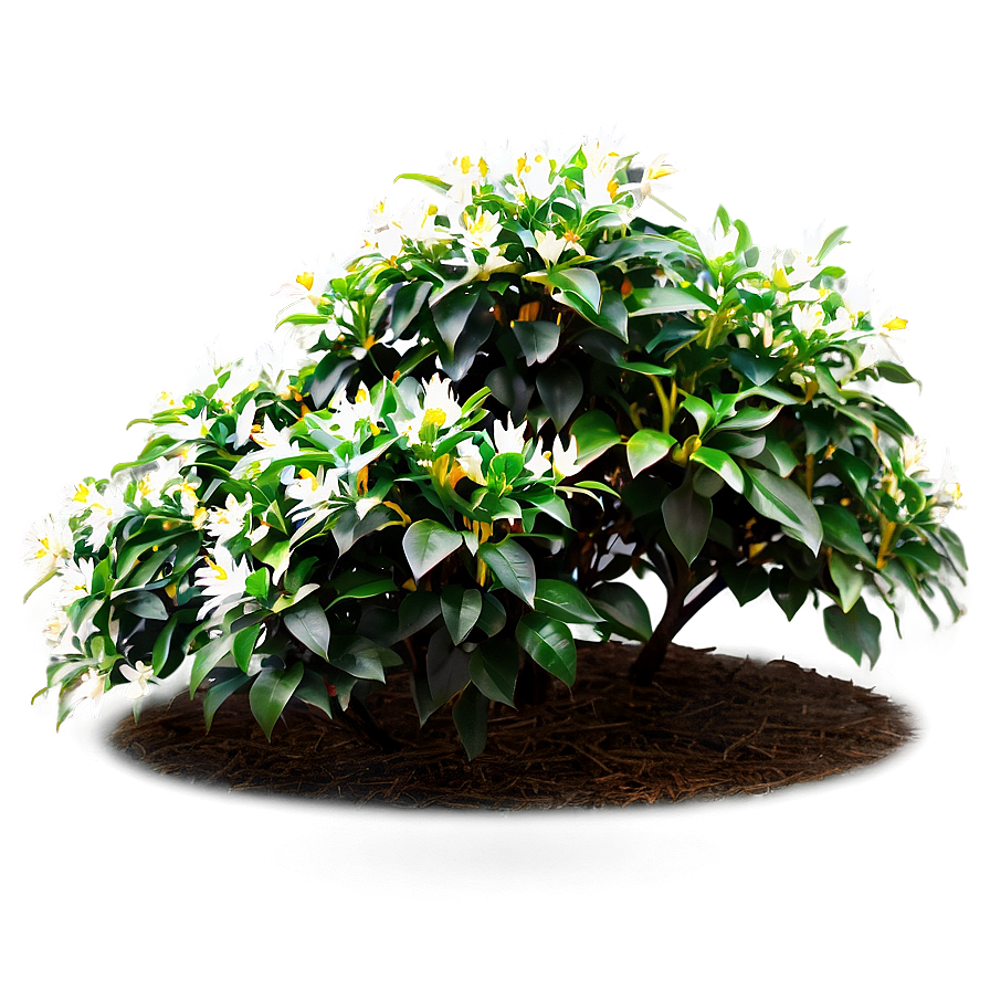 Flower Bush B PNG