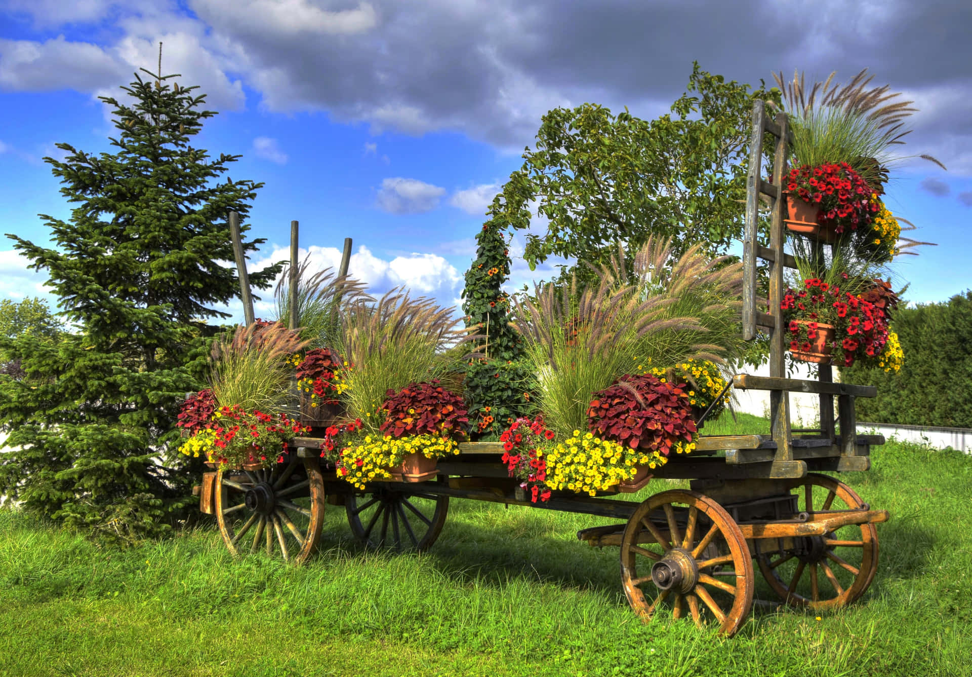Beautiful Flower Cart in a Blooming Garden Wallpaper