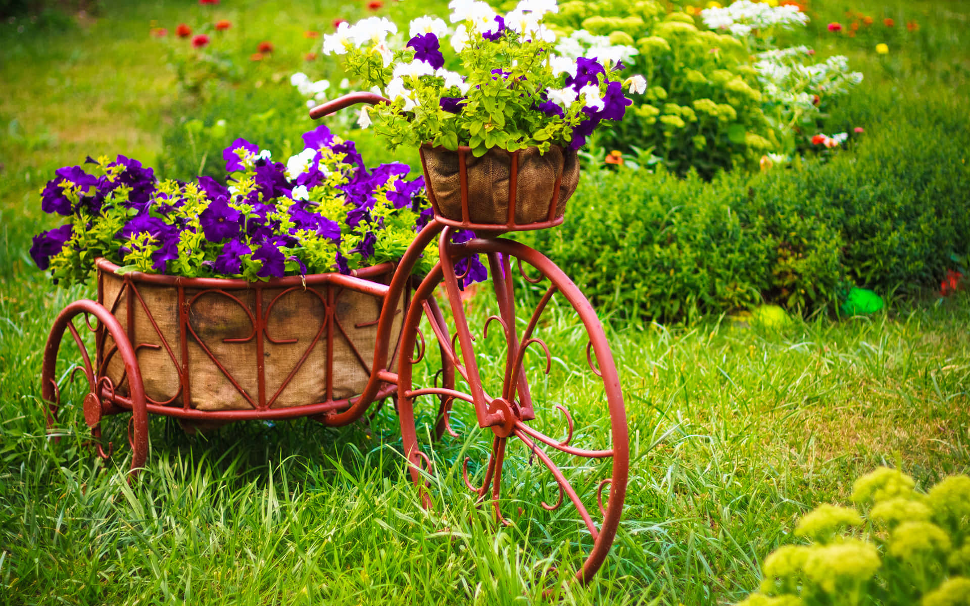 Captivating Flower Cart in Full Bloom Wallpaper