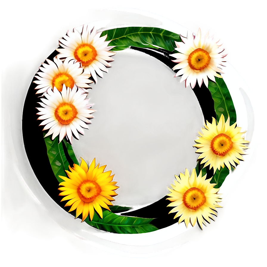 Flower Circle D PNG