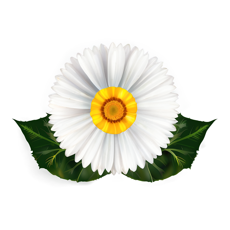 Download Flower Clipart Png 82 | Wallpapers.com