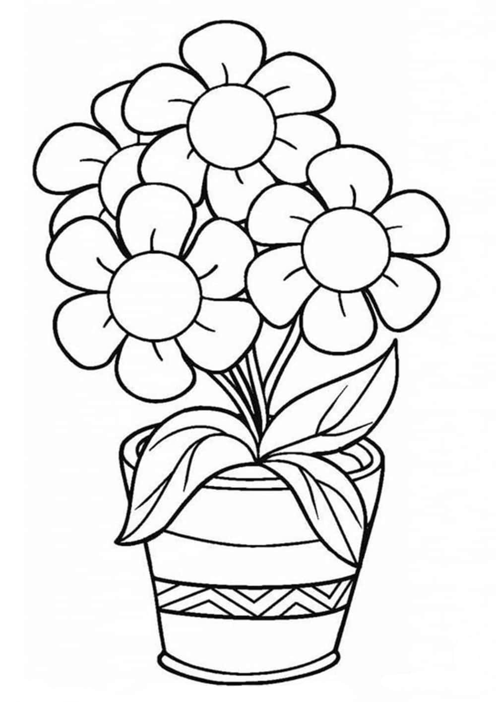 "Bring some color to your day with these beautiful flower coloring pictures!"
