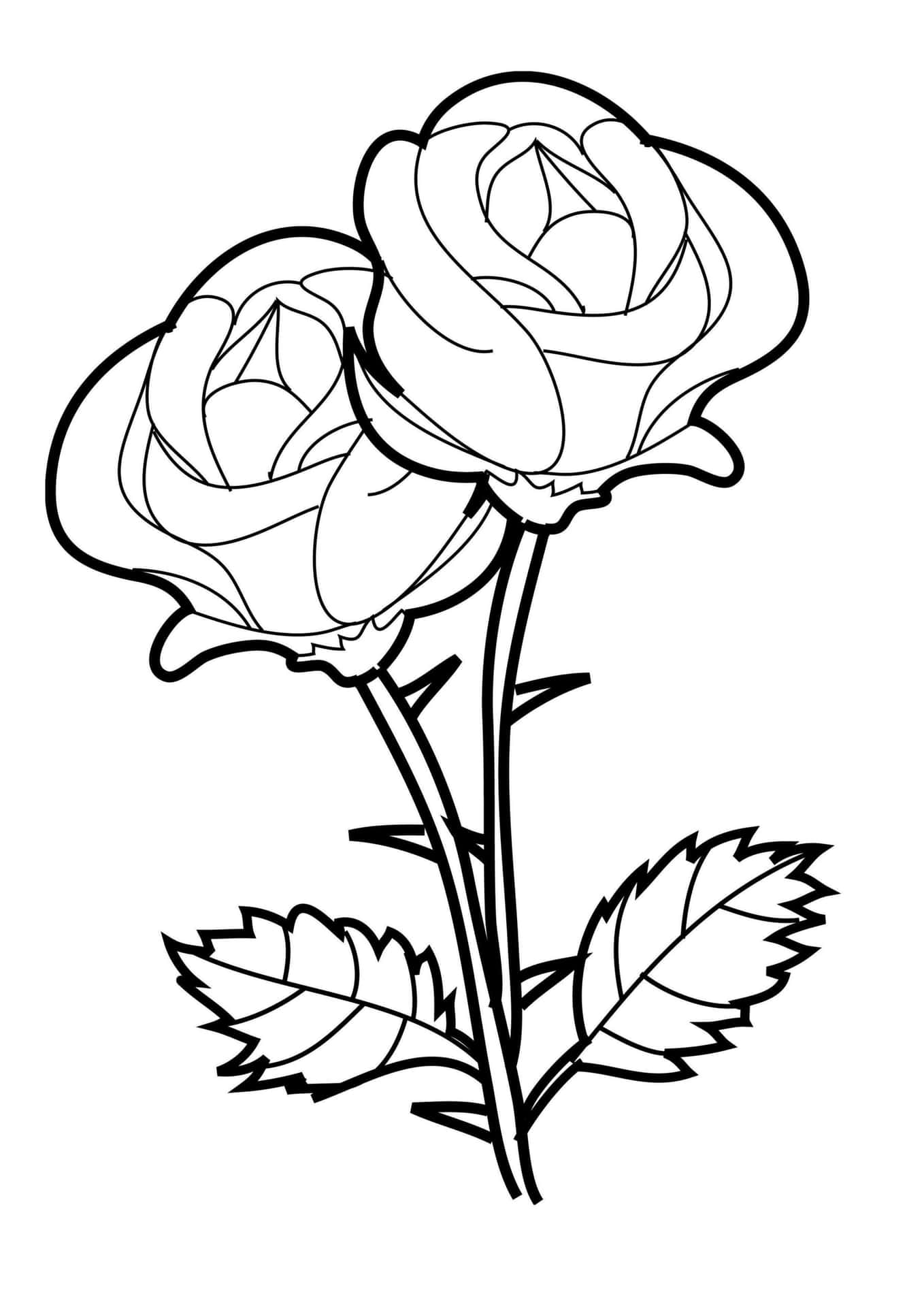 Two Roses Coloring Pages