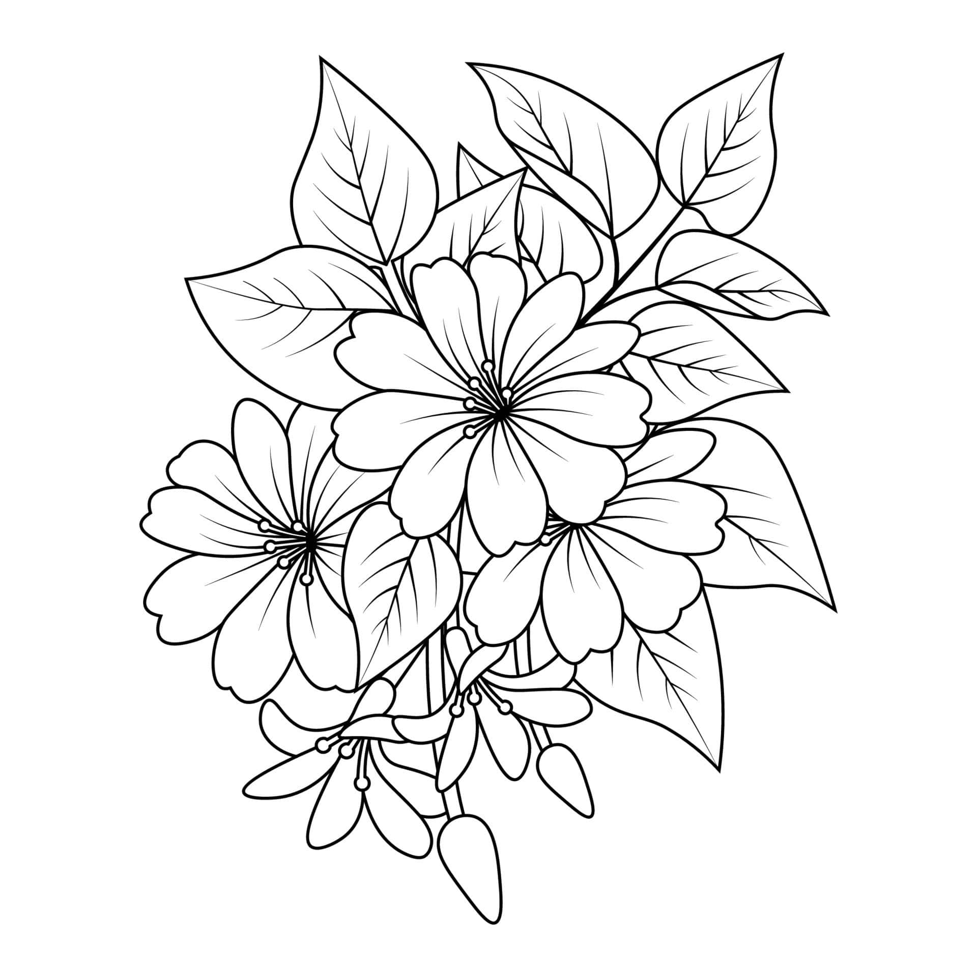 Bright and Colorful - Enjoy the Beauty of Flower Coloring Pictures