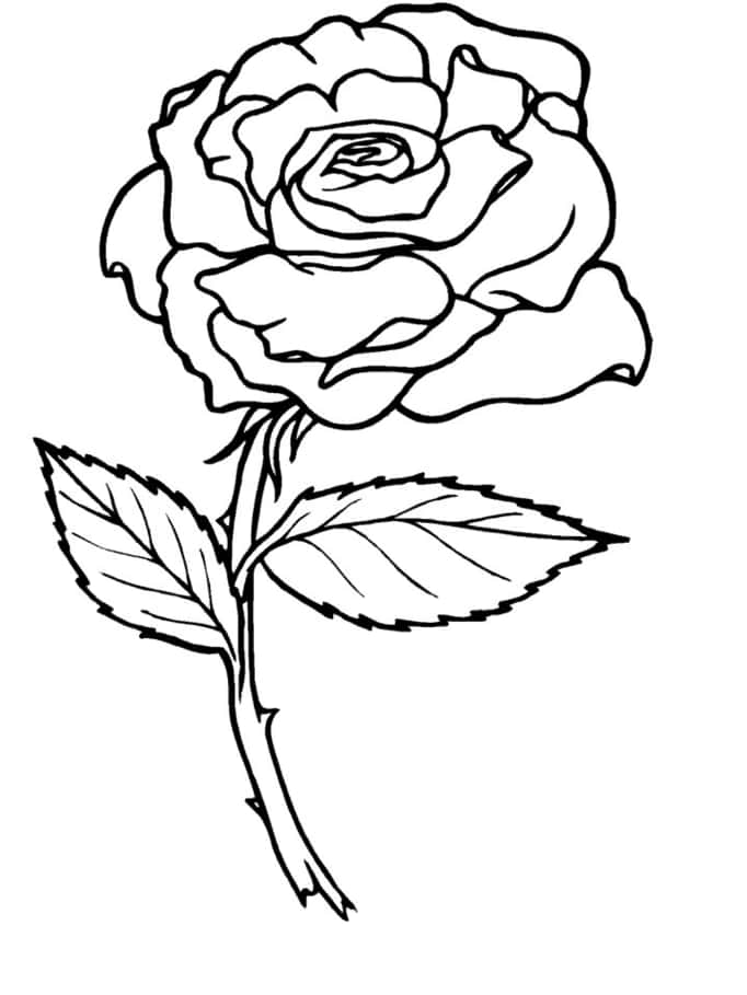 A Rose Coloring Page With Leaves