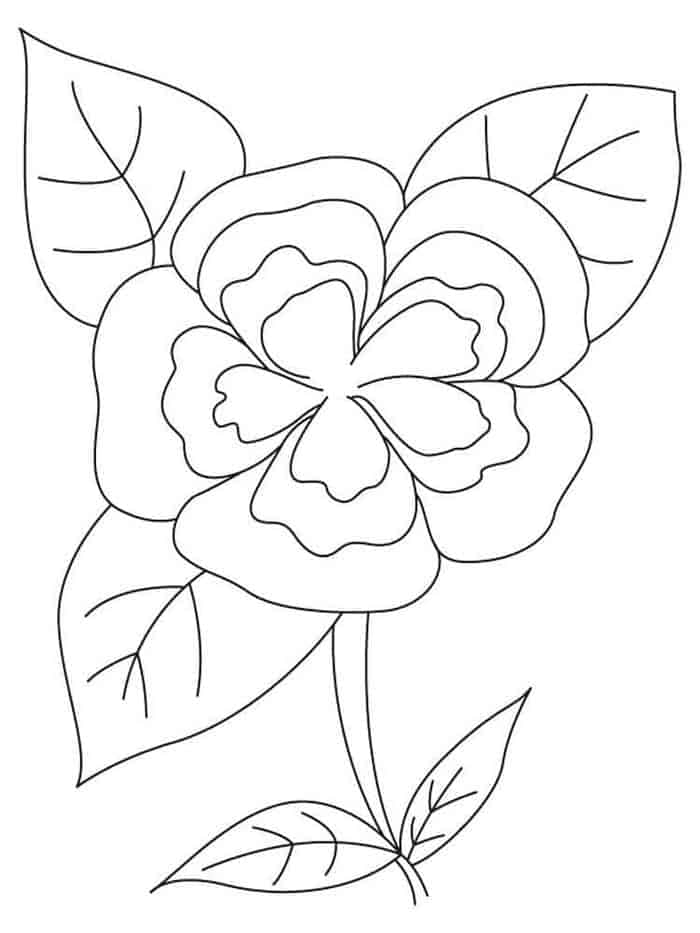 Färggrannvariation Av Blommor