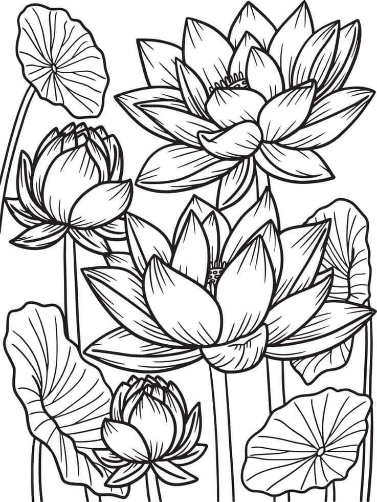 Image  Be creative with a Flower Coloring book