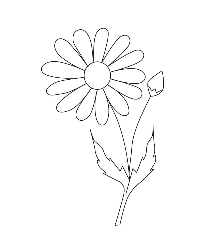 A Daisy Flower Coloring Page