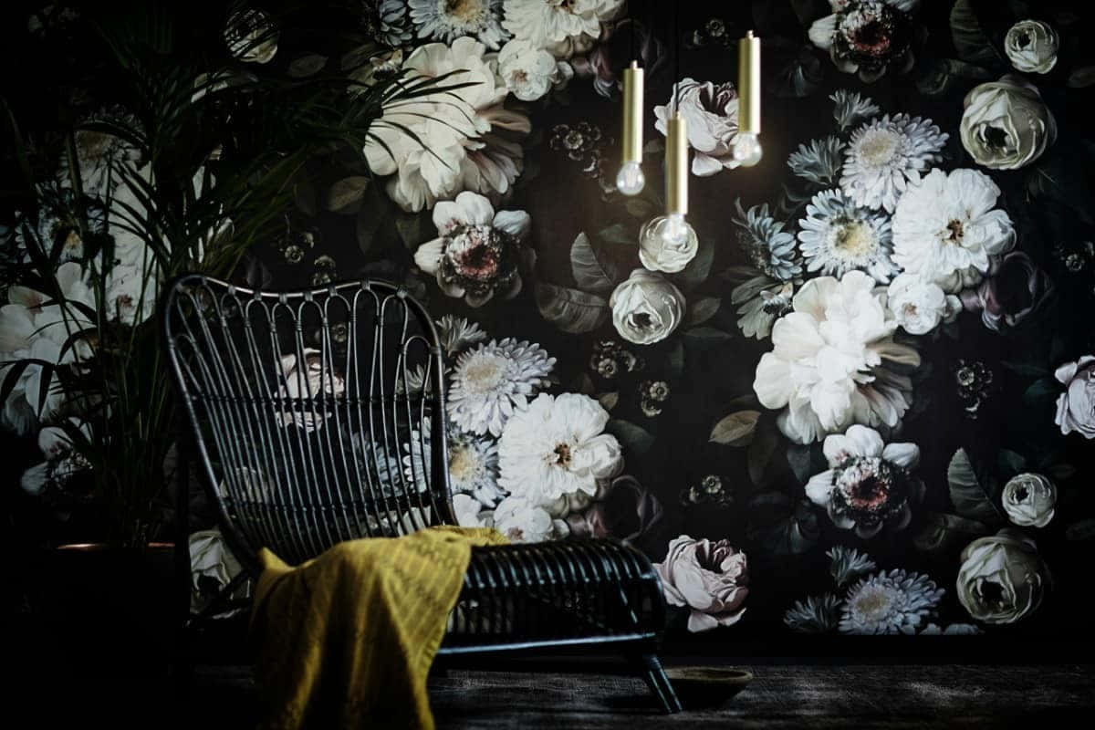 Flower Dark Sitting Still Life Wallpaper