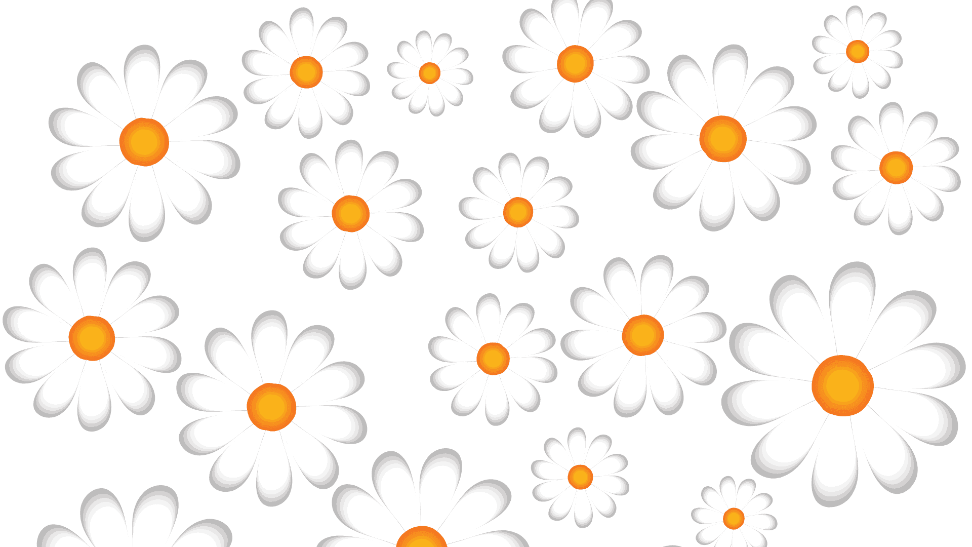 White Daisy Flower Pattern On A White Background