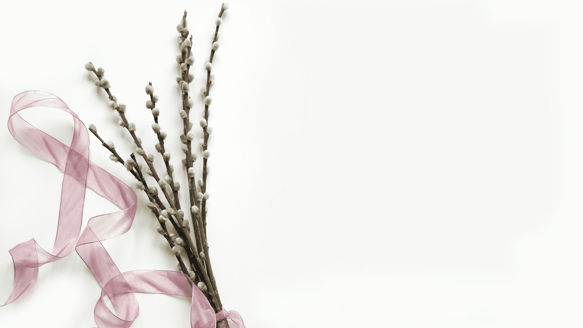 A Pink Ribbon And Branches On A White Background