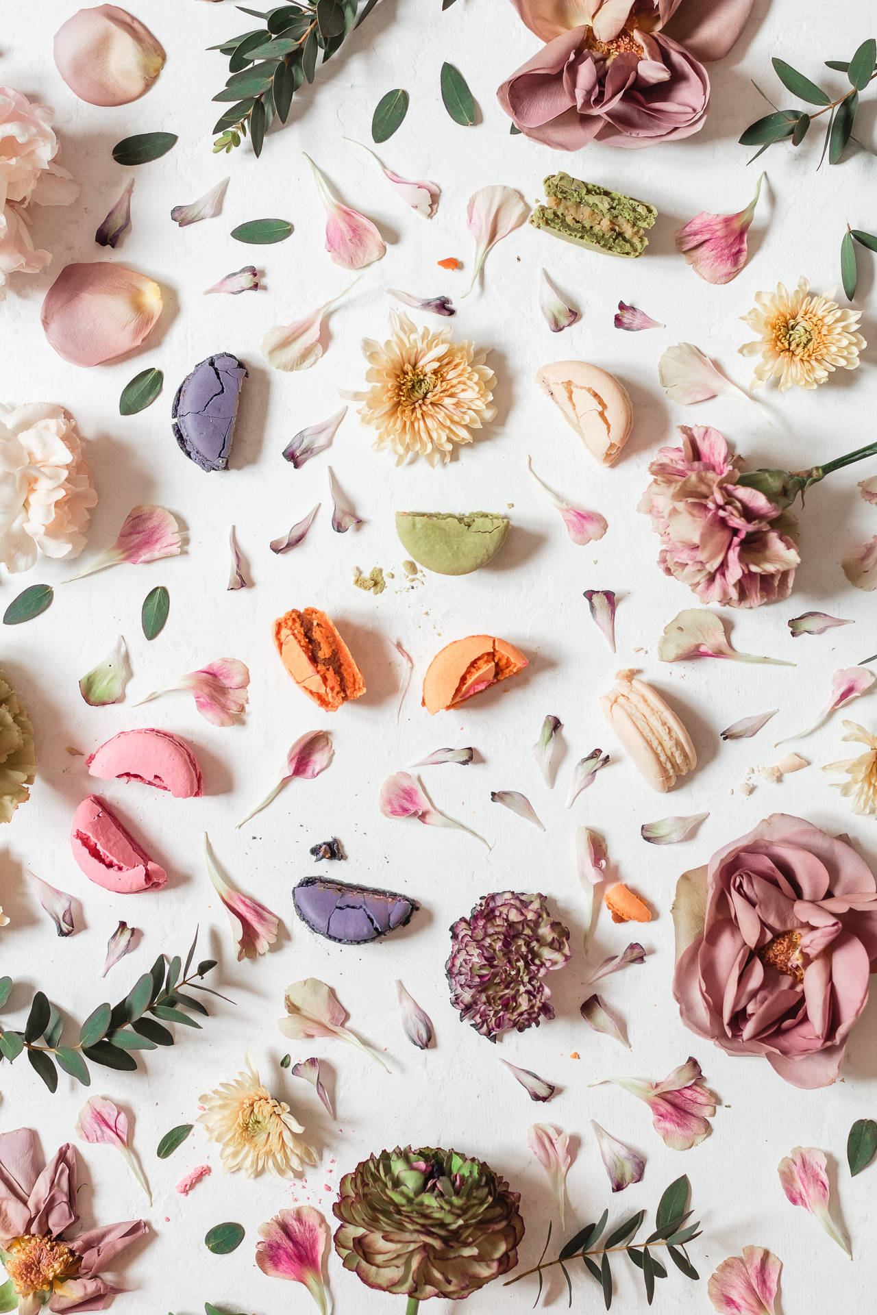 Flower Design Colorful Dried Petals Wallpaper
