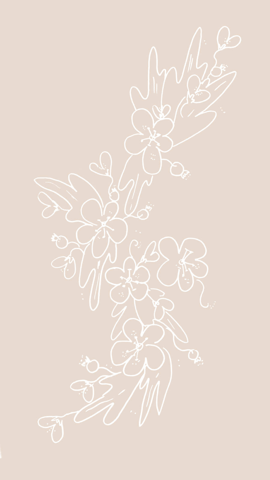Blomsterdesignmed Vita Konturer. Wallpaper