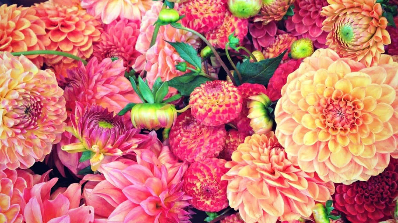 Ettæt Billede Af Mange Farverige Blomster