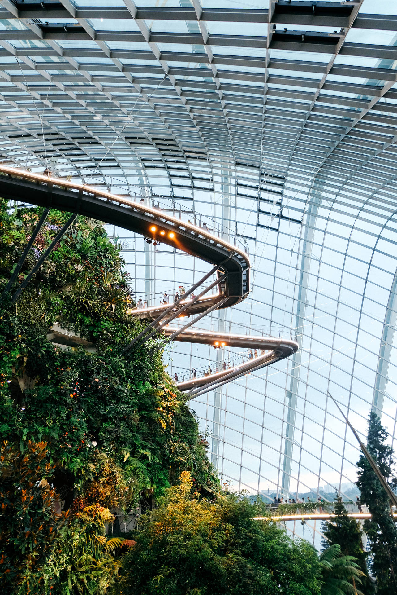 Flower Dome In Singapore
