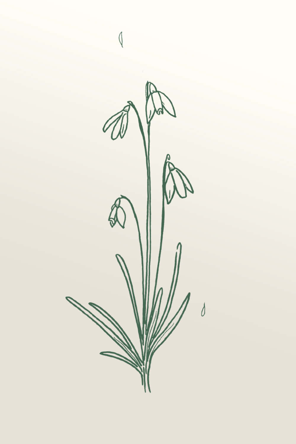 Snowdrops Illustration In A Sketch Style Wallpaper