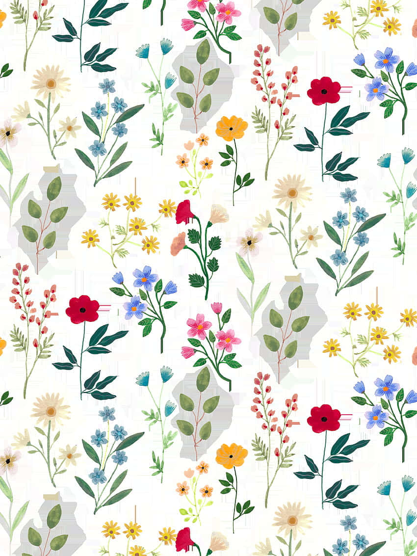 A Purple Daisy Flower Drawing Wallpaper