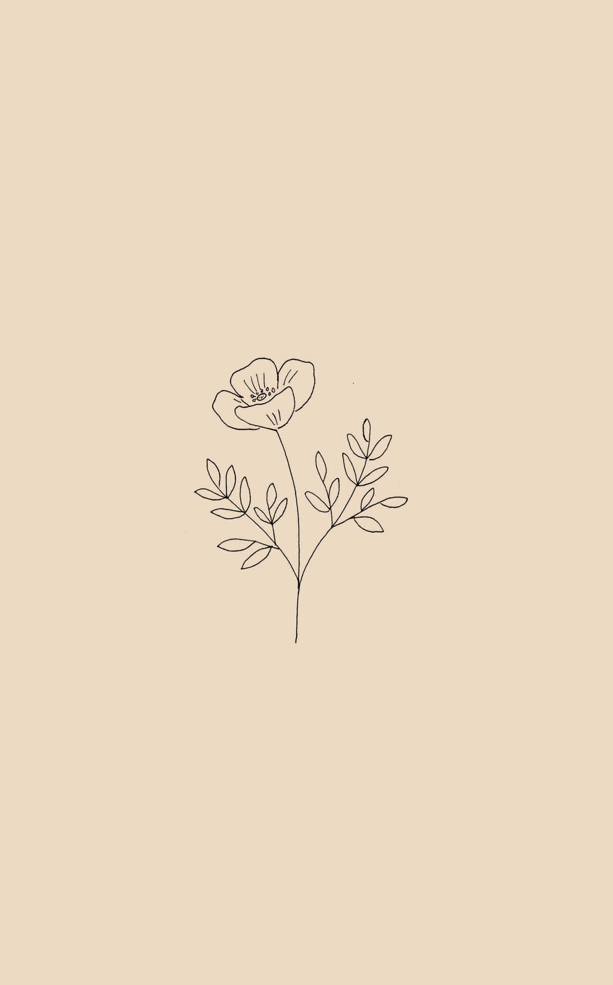 A Simple Flower Design On A Beige Background Wallpaper