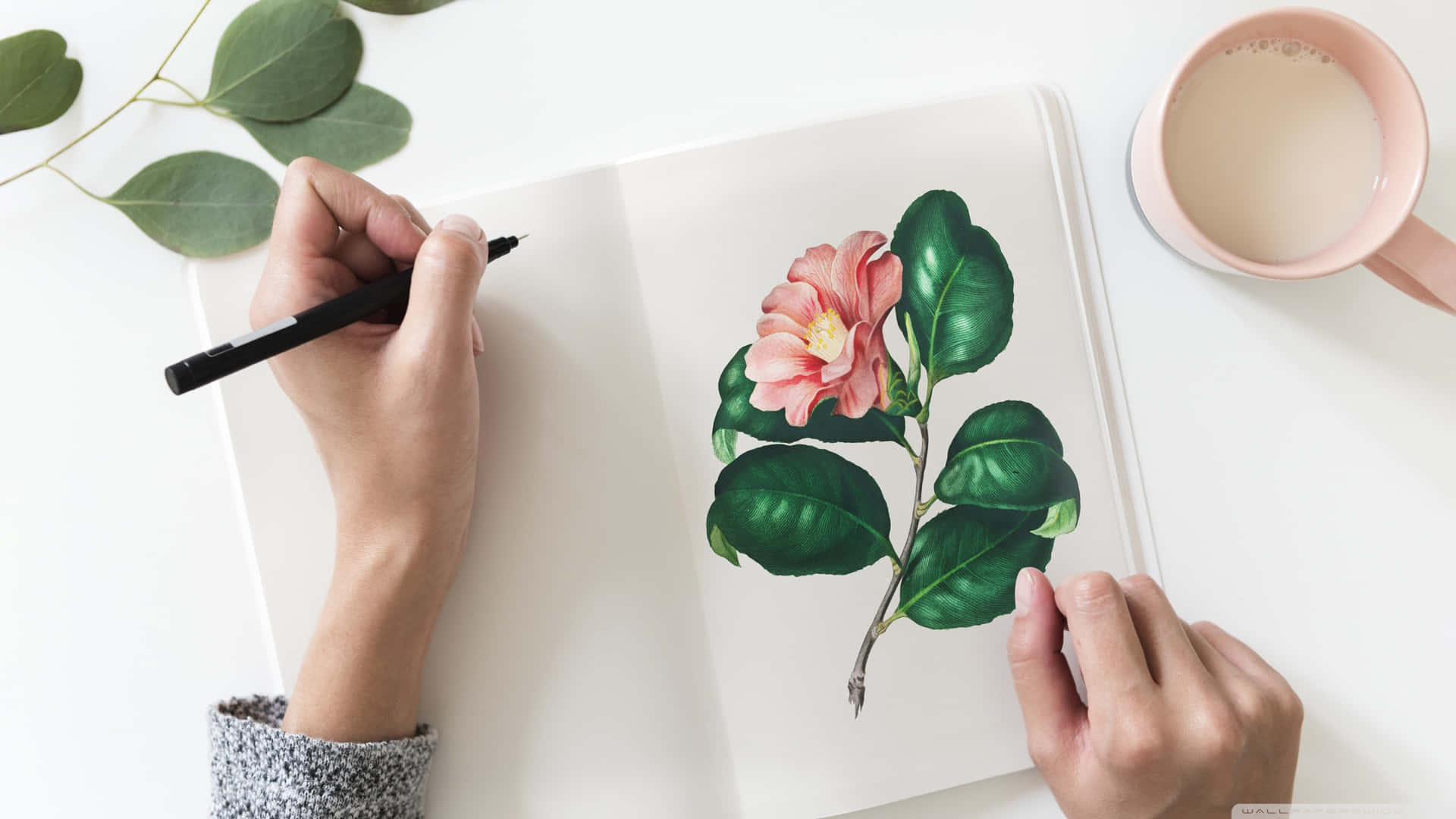 A Woman Is Drawing A Flower In A Notebook Wallpaper